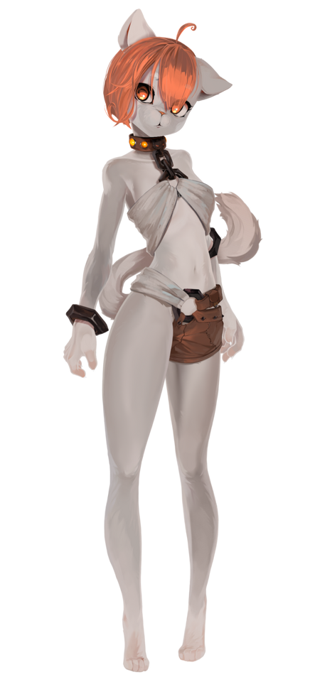 Cat Model
